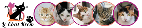 Association "Le chat libre Kremlinois"