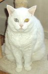 Hommage ? Milky